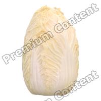 Food Chinese Cabbage Retopo 3D Scan
